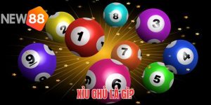 Xỉu Chủ Là Gì? Cách Chơi Và Soi Cầu Cực Hay Từ NEW88 8 xỉu chủ là gì