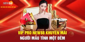 VIP PRO New88 – Ưu Đãi Sang Trọng Dành Riêng Cho Hội Viên 8 VIP PRO NEW88 Khuyến Mãi Người Mẫu Tình Một Đêm